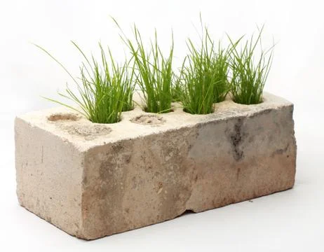 Growing grass made of bricks on a white background Stock Photos