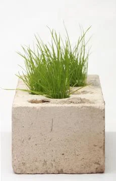 Growing grass made of bricks on a white background Stock Photos