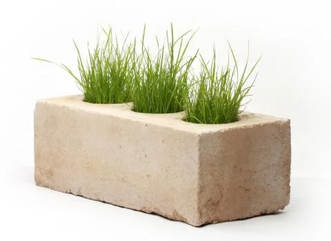 Growing grass made of bricks on a white background Stock-Fotos