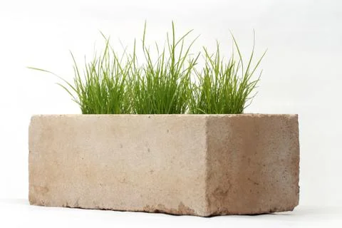 Growing grass made of bricks on a white background Stock Photos