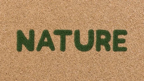 Growing Grass Nature Text with Sand Background Video stock 101976516