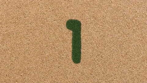 Growing Grass Numbers Counting Up 6 to 10 with Sand Background Stock Footage 131285520