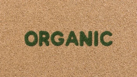 Growing Grass Organic Text with Sand Background Stock Footage 101976987