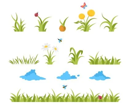 Growing grass template for garden vector. Stock Illustration