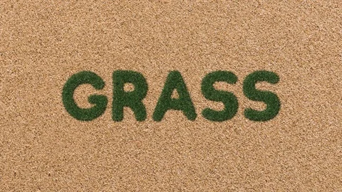 Growing Grass Text with Sand Background Stock Footage 101976210