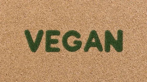 Growing Grass Vegan Text with Sand Background Video stock 101977407