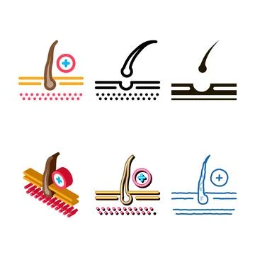 Growing hair icon vector multipack outline Stock Illustration