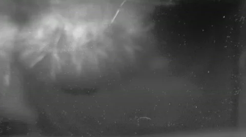 Growing Ice Stock Footage