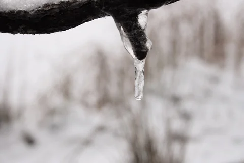 Growing icicle during snowfall. Timelapse Stock Footage 108418707