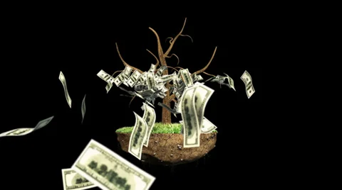 Growing Investment Tree with Alpha Stock Footage 33733647