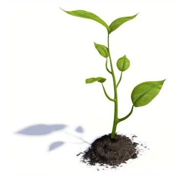 Growing life Stock Illustration