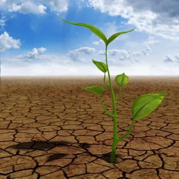 Growing life Stock Illustration