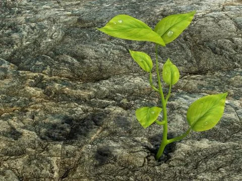 Growing life Stock Illustration