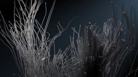 Growing light lines with glowing particles on a dark background Stock Footage 224100874