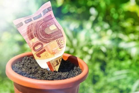 Growing money Stock Photos