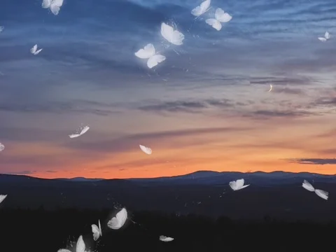 Growing moon Stock Footage 119578082