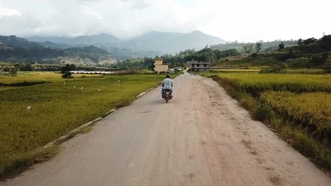 Growing Mountain Rice Stock Footage 117269897