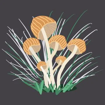 Growing mushroom with grass. Stock Illustration