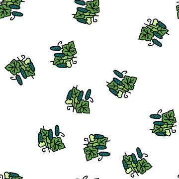 Growing natural cucumber vector seamless pattern Stock Illustration