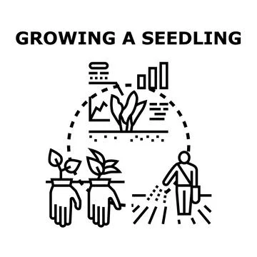 Growing new seedlings planning future agricultural success Stock Illustration