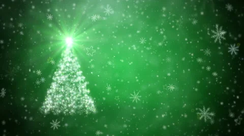 Growing New Year tree 4K Stock Footage 54831474