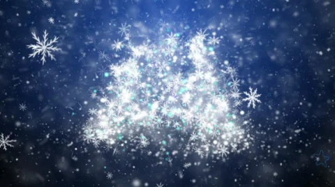 Growing New Year tree Stock Footage 31416546