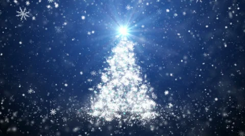 Growing New Year tree Video stock 31637265