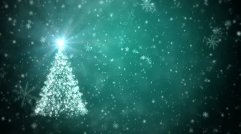 Growing New Year tree Stock Footage 56681172