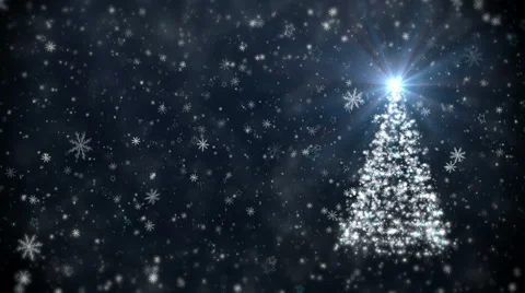 Growing New Year tree Stock Footage 57282676