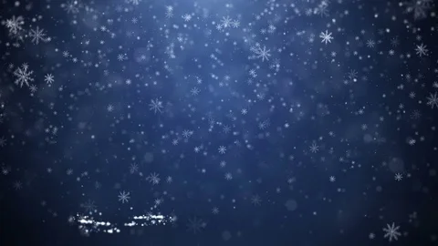 Growing New Year tree Stock Footage 70278003