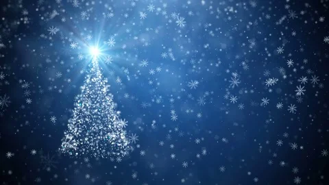 Growing New Year tree Stock Footage 70766516