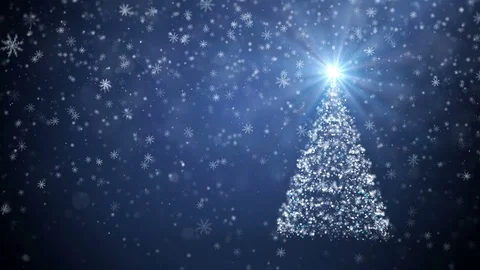 Growing New Year tree Stock Footage 70925612