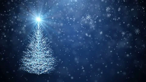 Growing New Year tree Stock Footage 82170031