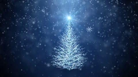 Growing New Year tree Stock Footage 82317966