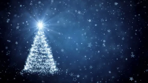 Growing New Year tree Stock Footage 82985499