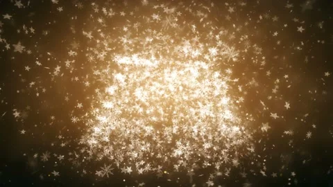 Growing New Year tree Stock Footage 97786617