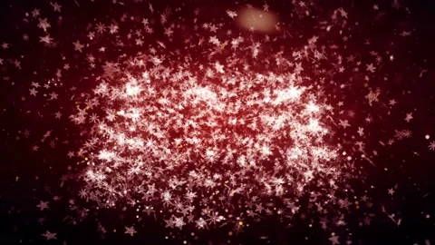 Growing New Year tree Stock Footage 97913443