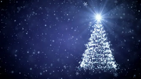 Growing New Year tree Video stock 99483920