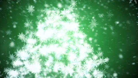 Growing New Year tree Stock Footage 119136924
