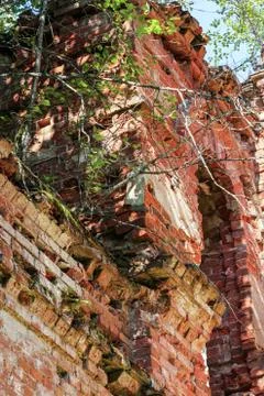 A growing old building. Stock Photos