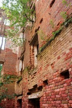 A growing old building. Stock Photos