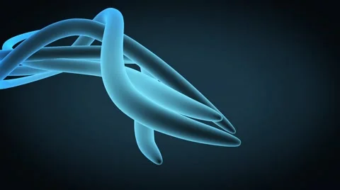 Growing organic elements Stock Footage 64463041