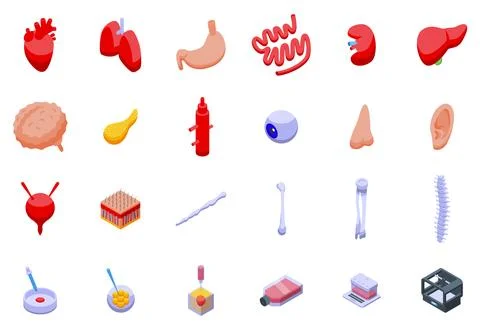 Growing Organs icons set isometric vector. Human medicine Stock Illustration