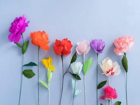 Growing paper flowers Stock Footage 69536589