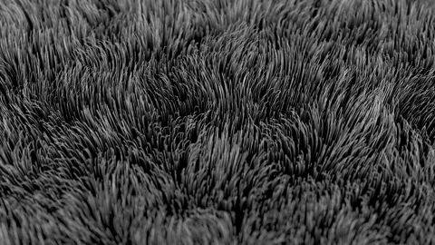 The growing pile over time forms into curly structures. Stock Footage 121175226