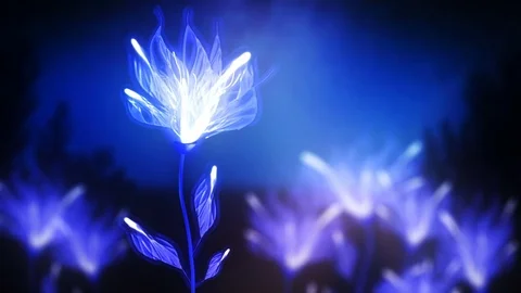 Growing plant Stock Footage 80982293