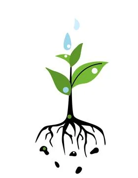 Growing plant nature icon. Vector flat illustration of a green sprout with .. Stock Illustration