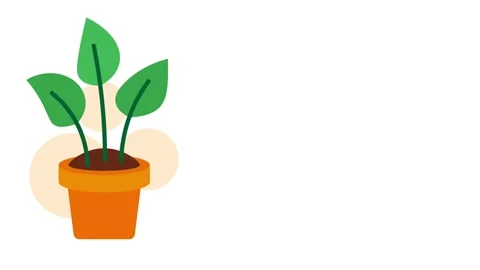Growing Plant Pot Stock Footage 335639647
