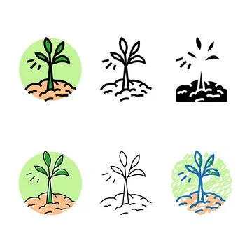Growing plant progress color designs icon vector Stock Illustration