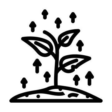 Growing plant progress line icon vector illustration Stock Illustration